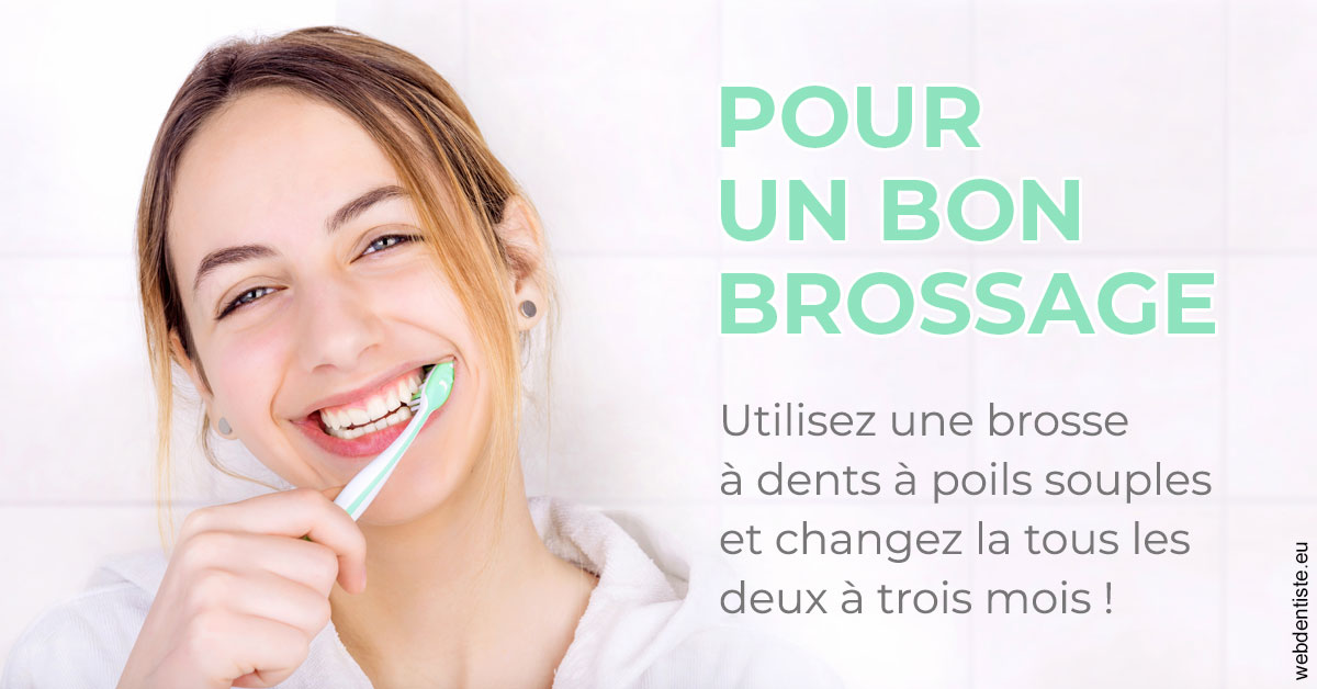 https://www.drs-mamou.fr/Pour un bon brossage 2