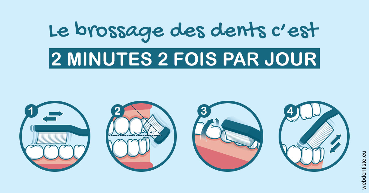 https://www.drs-mamou.fr/Les techniques de brossage des dents 1