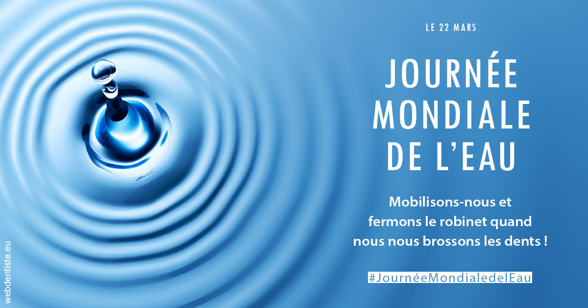 https://www.drs-mamou.fr/Journée de l'eau 2023 1
