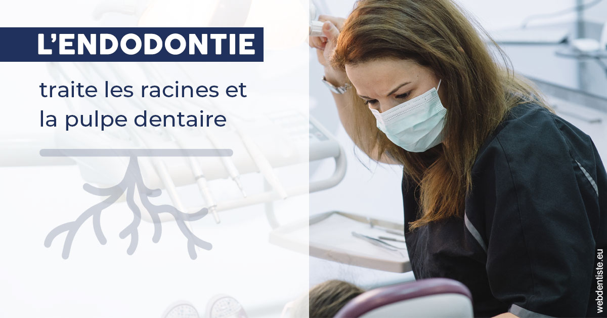 https://www.drs-mamou.fr/L'endodontie 1