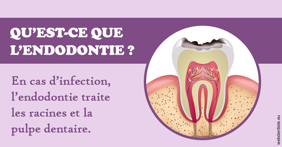 https://www.drs-mamou.fr/2024 T1 - Endodontie 02