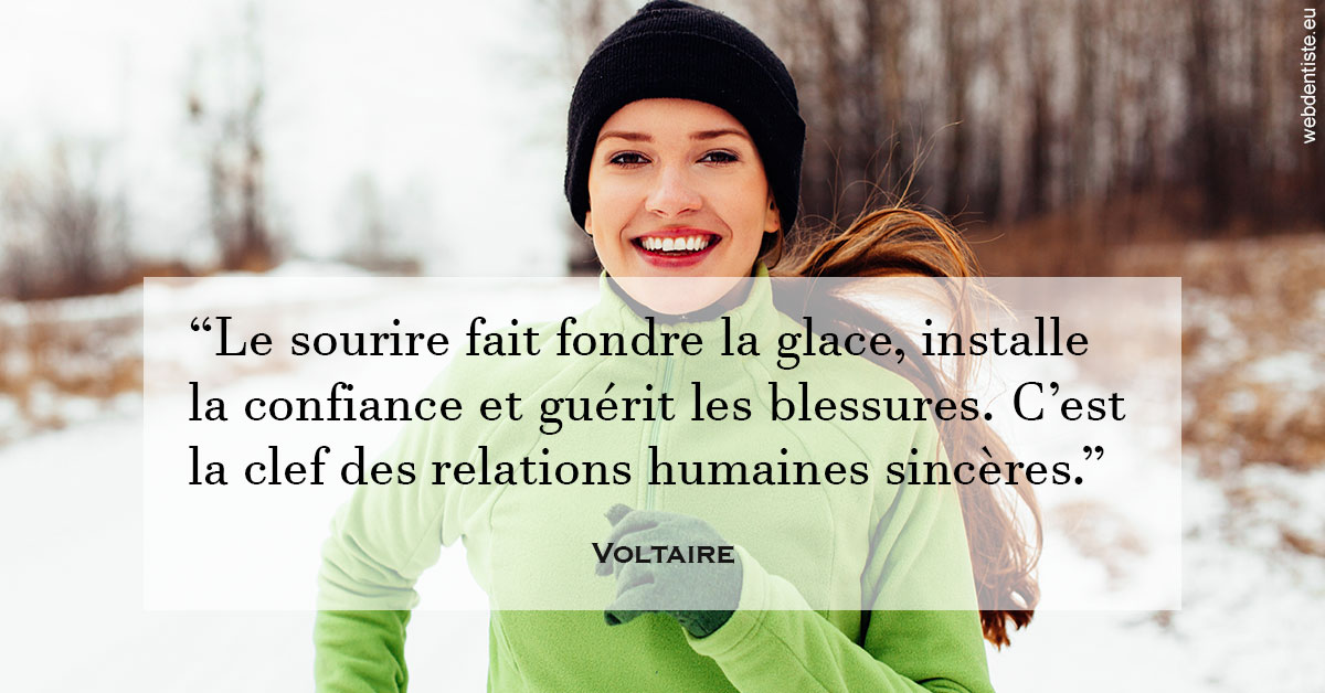 https://www.drs-mamou.fr/Voltaire 2