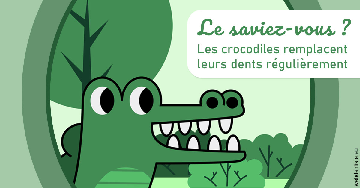 https://www.drs-mamou.fr/Crocodiles 2