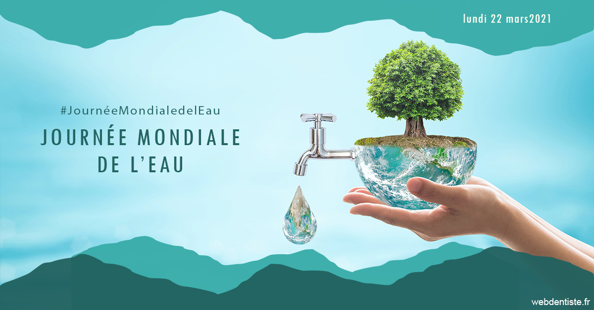 https://www.drs-mamou.fr/Journée de l'eau 1