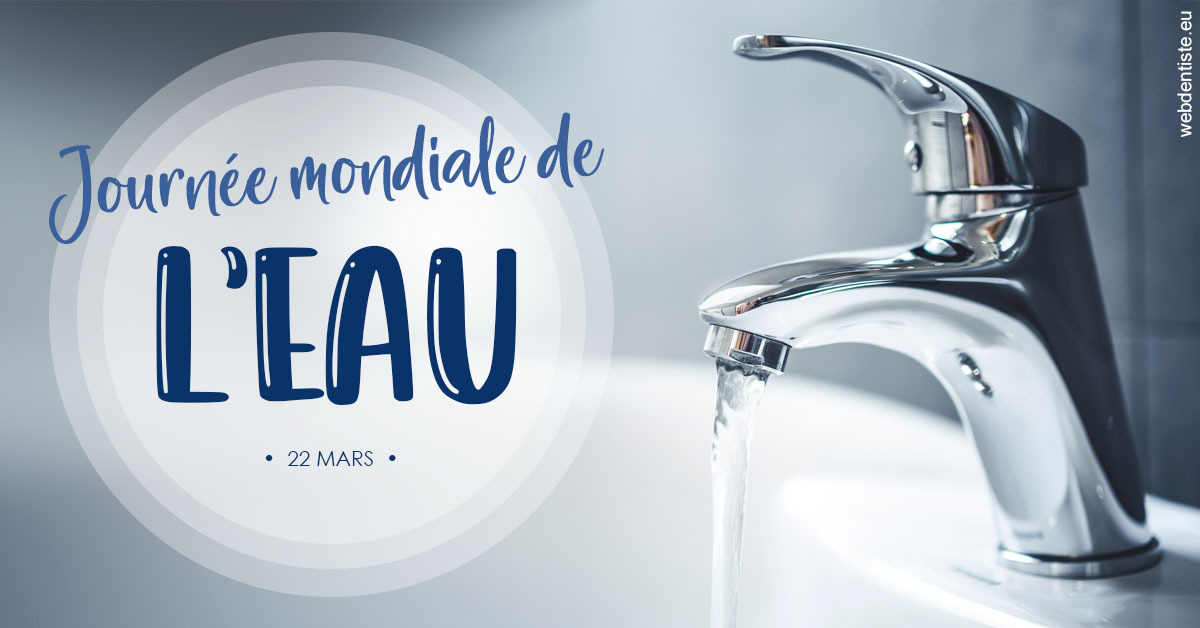 https://www.drs-mamou.fr/La journée de l'eau 2