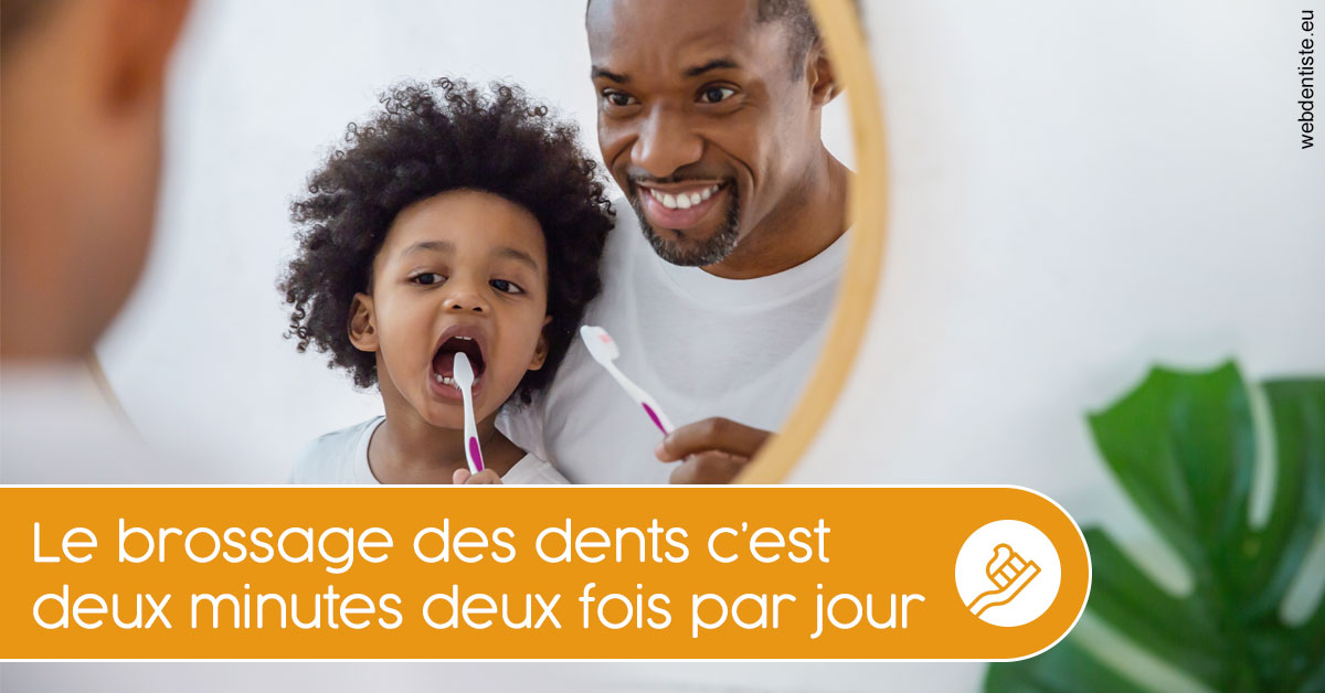 https://www.drs-mamou.fr/Les techniques de brossage des dents 2