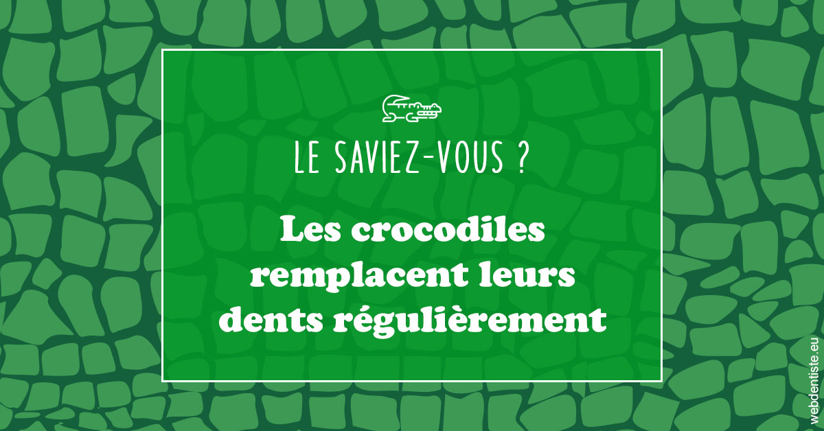 https://www.drs-mamou.fr/Crocodiles 1