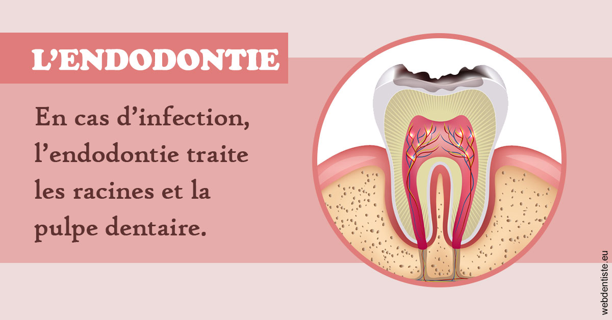https://www.drs-mamou.fr/L'endodontie 2